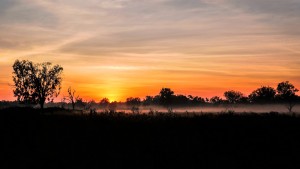 Winter Sunrise in the Outback